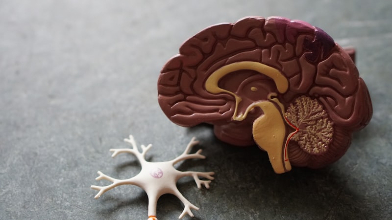 Brain scan and neurological care